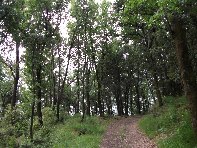 ntrada Ilice-20100530 001
